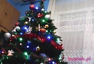 Jan, Male, 66, Mosina, Polska, Photo: 2