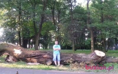 Adrian, Mężczyzna, 34, Zawiercie, Polska, Zdjęcie: 5