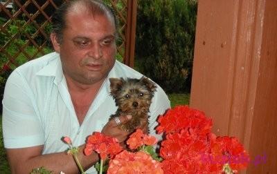 stefan46, Mężczyzna, 59, Wielka Brytania, Zdjęcie: 2