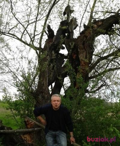 Marian, Mężczyzna, 60, Katowice, Polska, Zdjęcie: 1