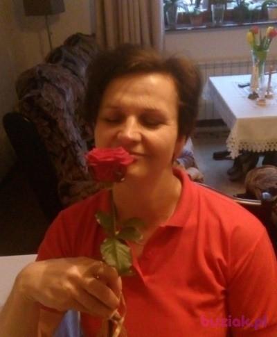 Natalka , Kobieta, 60, Pyrzyce, Polska, Zdjęcie: 3