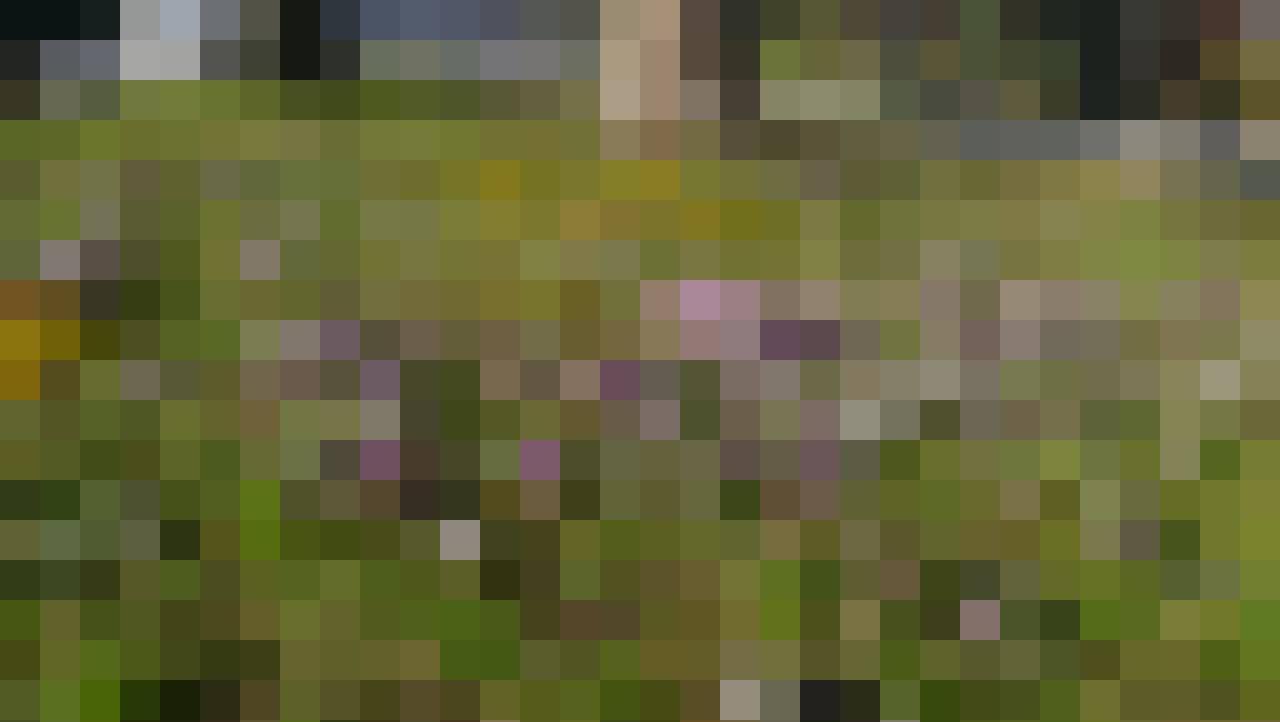 Adam, Male, 49, Cologne, Niemcy, Photo: 2