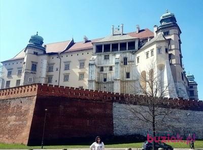 Daria, Kobieta, 36, Gniezno, Polska, Zdjęcie: 3