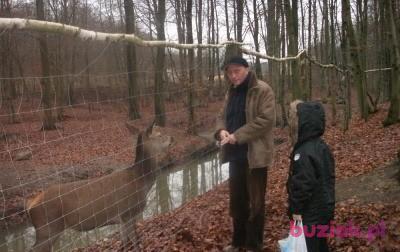 Mariusz, Mężczyzna, 60, Niemcy, Zdjęcie: 6