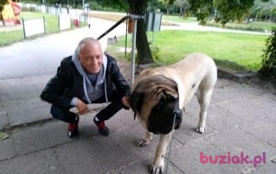 Michał, Male, 47, Płock, Polska, Photo: 2