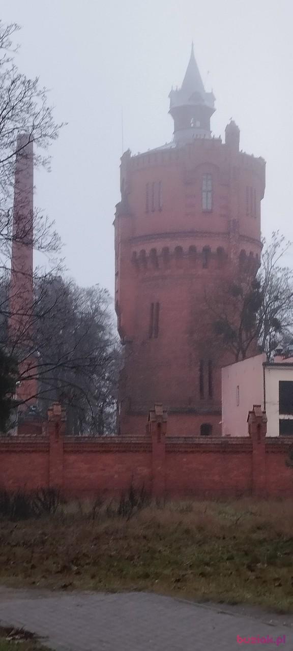 ryszard, Mężczyzna, 66, Lublin, Polska, Zdjęcie: 10