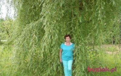 Patrycja, Kobieta, 72, Racibórz, Polska, Zdjęcie: 2
