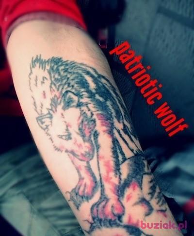 Kajetan , Mężczyzna, 36, Polska, Zdjęcie: 3