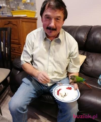 Zdzislaw, Male, 69, Kraków, Polska, Photo: 1