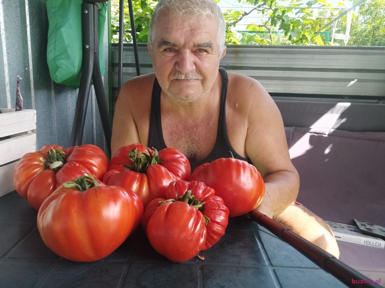 Janusz, Male, 74, Mława, Polska, Photo: 10