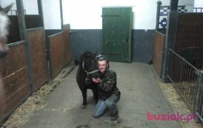 niko66620, Male, 58, Świebodzin, Polska, Photo: 3