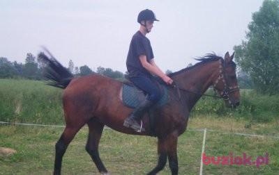 Daniel, Male, 31, Pruszcz Gdański, Polska, Photo: 3