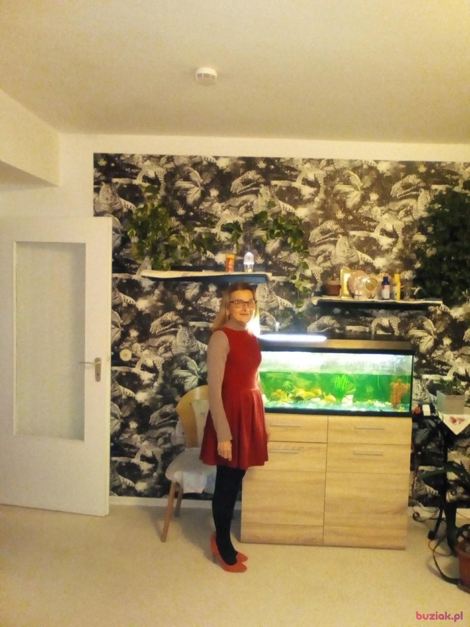 Marta, Kobieta, 66, Grudziądz, Polska, Zdjęcie: 3