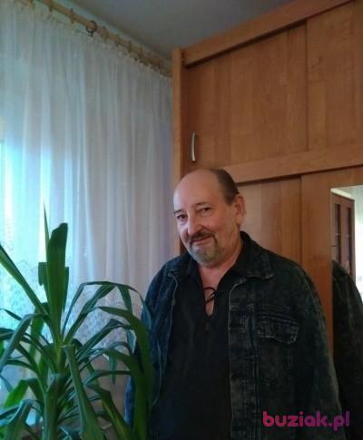 włodek szczepaniak, Male, 70, Ozorków, Polska, Photo: 5