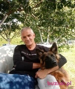 Norbert, Mężczyzna, 61, Racibórz, Polska, Zdjęcie: 2