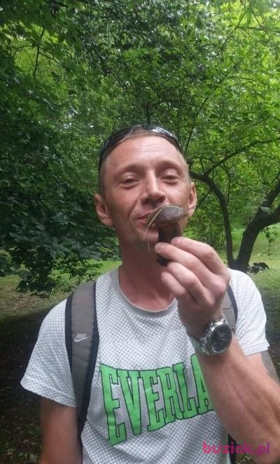 mariowroc1, Male, 43, Wrocław, Polska, Photo: 3