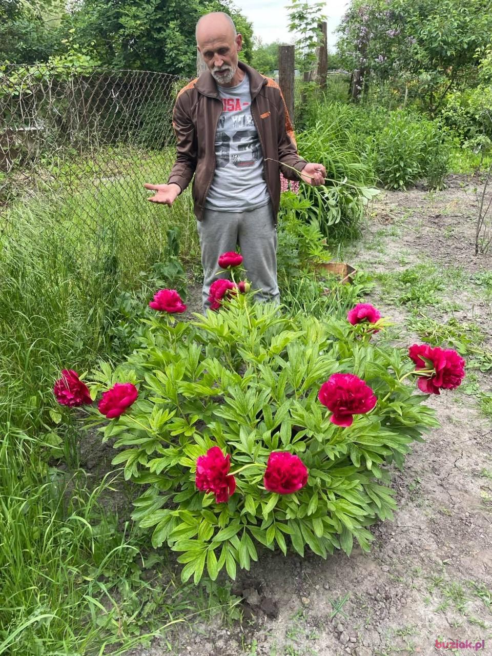 Janek, Mężczyzna, 63, Głogów, Polska, Zdjęcie: 4