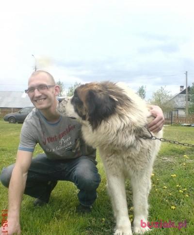 Maciek, Mężczyzna, 41, Sokółka, Polska, Zdjęcie: 2