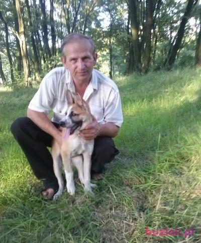jurand, Mężczyzna, 62, Bytom, Polska, Zdjęcie: 2