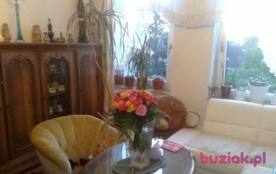 beata , Kobieta, 110, Tarnobrzeg, Polska, Zdjęcie: 18
