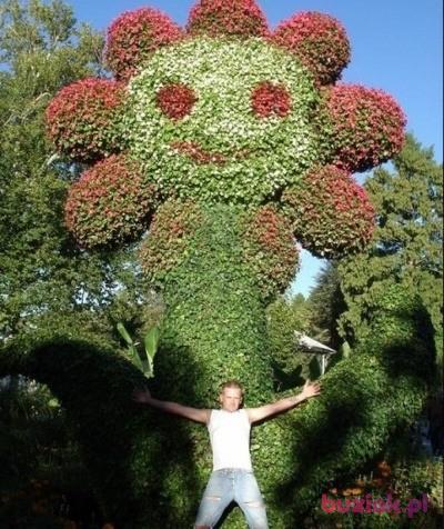 Tomaszek, Male, 41, Kielce, Polska, Photo: 3