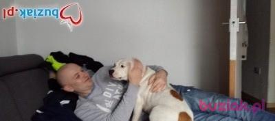krzysiek, Male, 45, Northampton, Wielka Brytania, Photo: 2