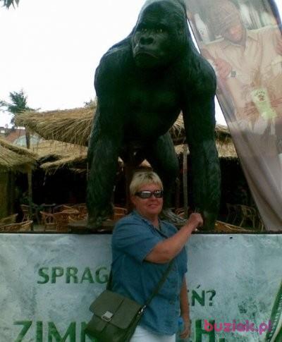 Wiesia, Female, 69, Kartuzy, Polska, Photo: 4