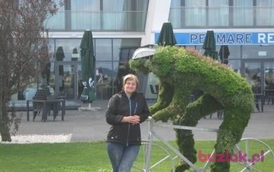sylwia sylwia, Kobieta, 55, Nowy Sącz, Polska, Zdjęcie: 2