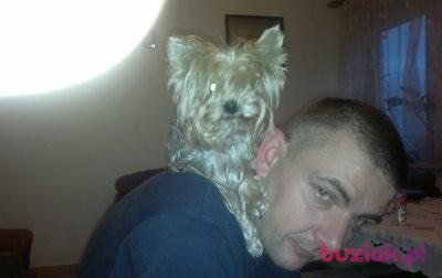 Robert, Mężczyzna, 51, Warszawa, Polska, Zdjęcie: 3