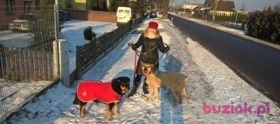 Izabela, Kobieta, 50, Poznań, Polska, Zdjęcie: 3