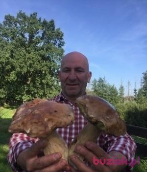 Wojtas, Mężczyzna, 57, Holandia, Zdjęcie: 5