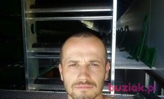Sebo, Mężczyzna, 43, Bogatynia, Polska, Zdjęcie: 2