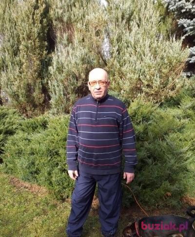 Mirosław, Male, 59, Wrocław, Polska, Photo: 7