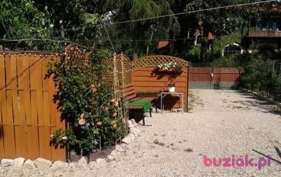 Włodzimierz, Mężczyzna, 62, Sosnowiec, Polska, Zdjęcie: 2