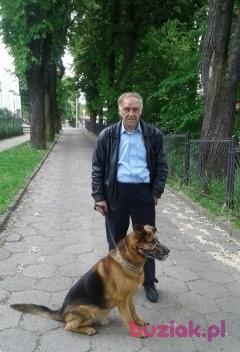 bogdan, Mężczyzna, 71, Wałbrzych, Polska, Zdjęcie: 2
