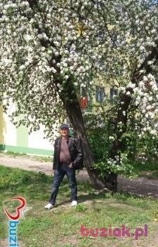 Wiktor, Mężczyzna, 60, Białystok, Polska, Zdjęcie: 3