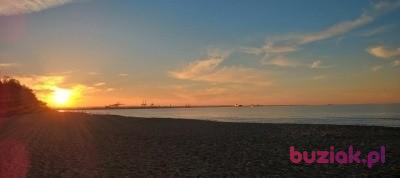 Włodek, Mężczyzna, 54, Warszawa, Polska, Zdjęcie: 6