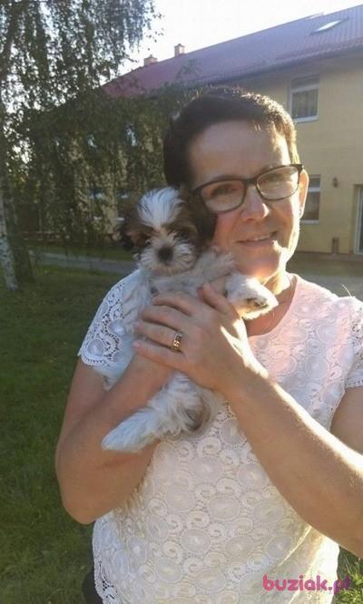 Dorota, Kobieta, 60, Polska, Zdjęcie: 2