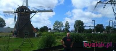 Maciek, Mężczyzna, 39, Rotterdam, Holandia, Zdjęcie: 9