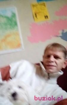 wieslaw, Mężczyzna, 60, Wejherowo, Polska, Zdjęcie: 3