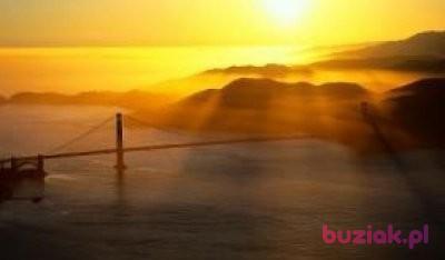 Zeitgeist, Mężczyzna, 66, San Francisco, USA, Zdjęcie: 4