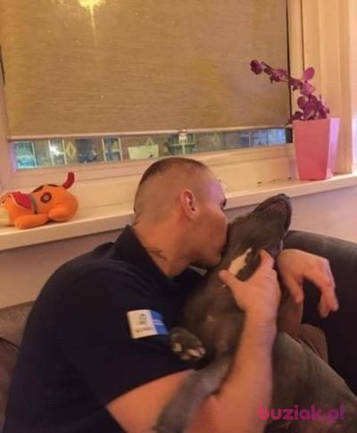 Daniel, Mężczyzna, 38, Wielka Brytania, Zdjęcie: 8