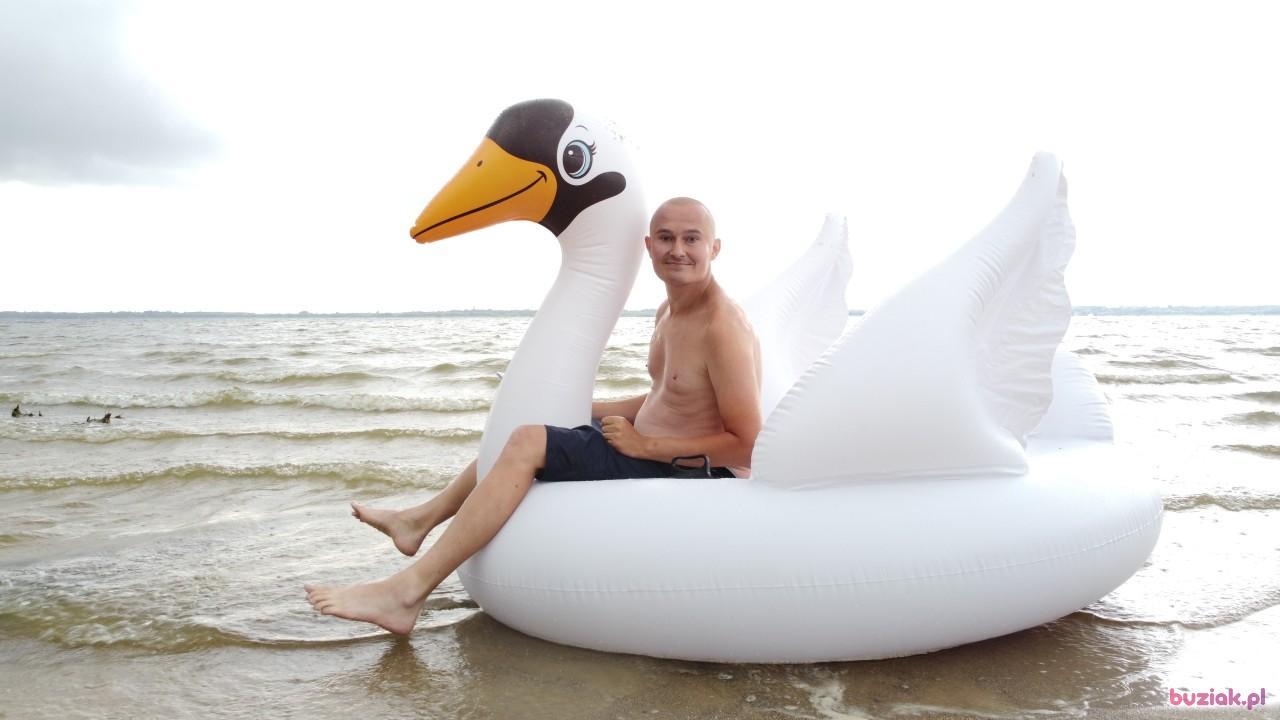 Michał, Male, 37, Zgierz, Polska, Photo: 524