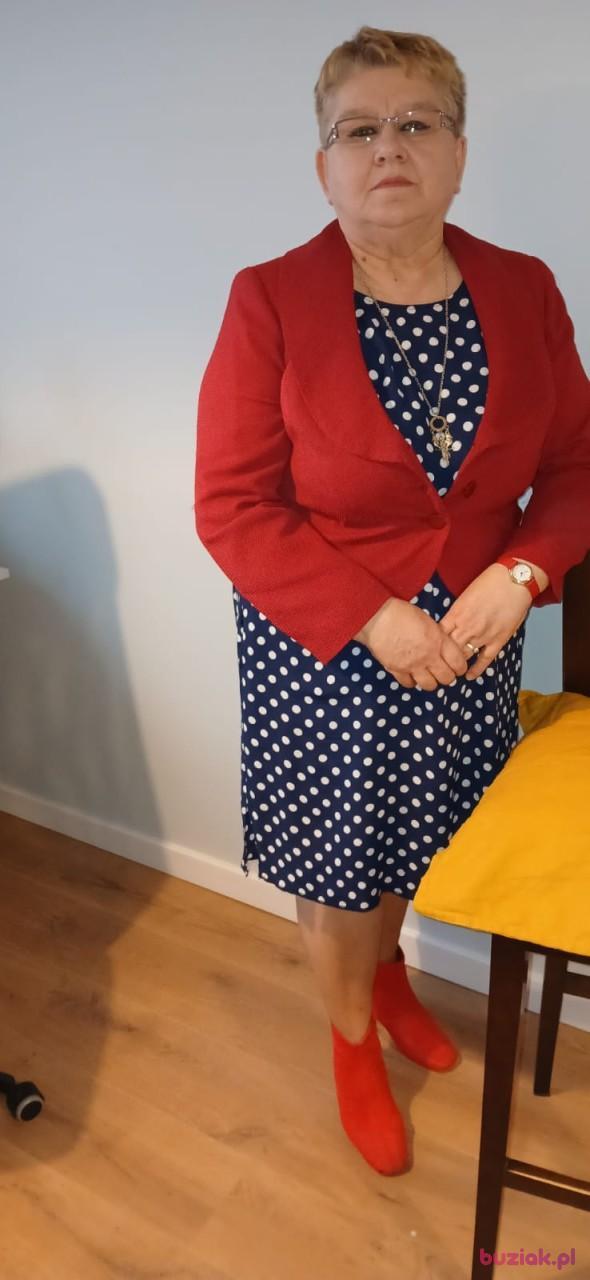Jolanta, Kobieta, 64, Kozienice, Polska, Zdjęcie: 24