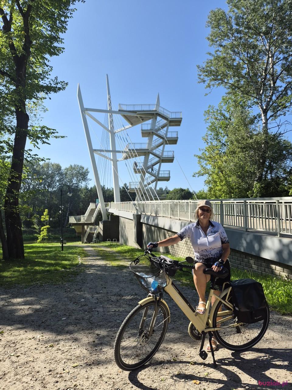 Wioletta, Kobieta, 60, Poznań, Polska, Zdjęcie: 19