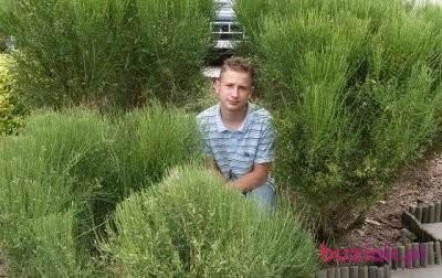 Mateusz, Male, 33, Drezdenko, Polska, Photo: 4