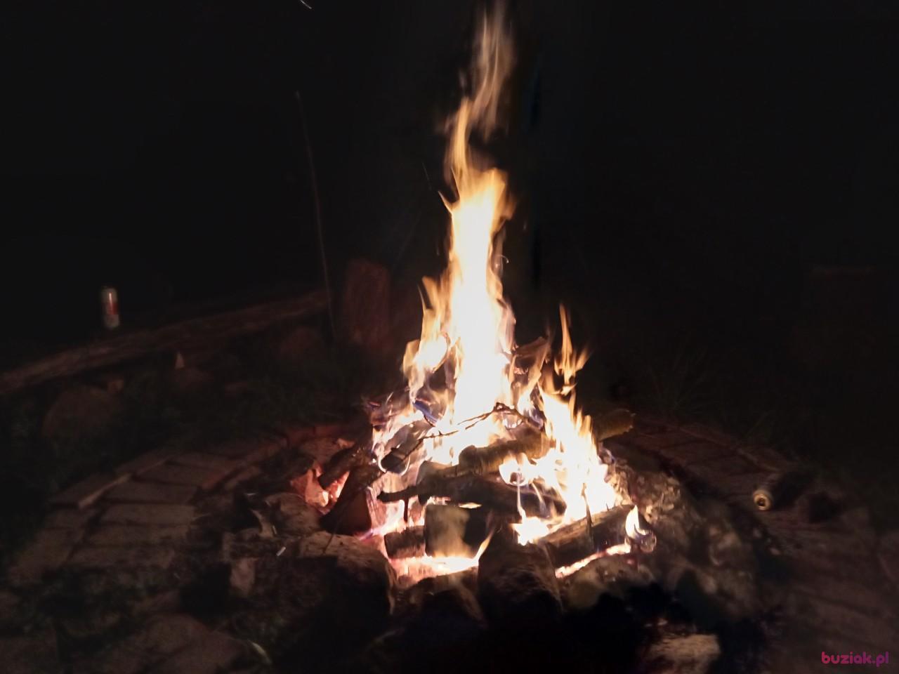 Tomasz, Male, 41, Elbląg, Polska, Photo: 6