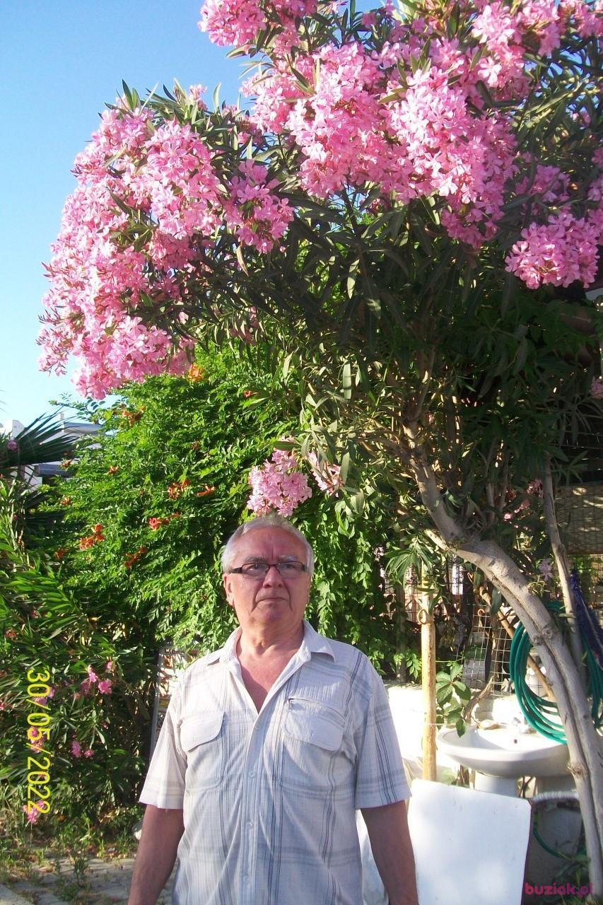 Jerzy, Male, 77, Rybnik, Polska, Photo: 6