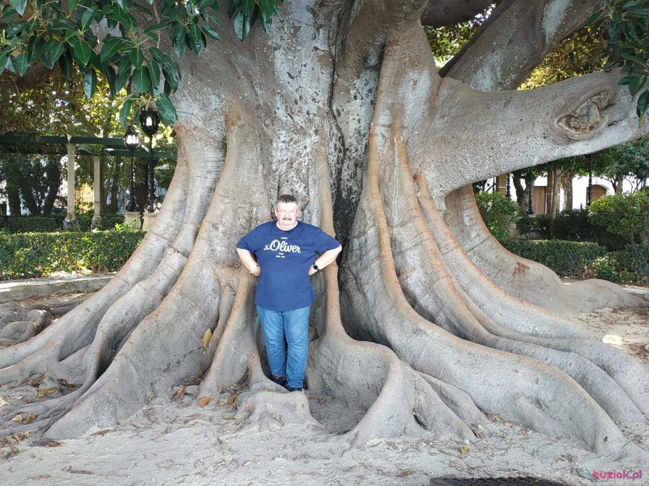 Bernard, Male, 68, Hannover, Niemcy, Photo: 1