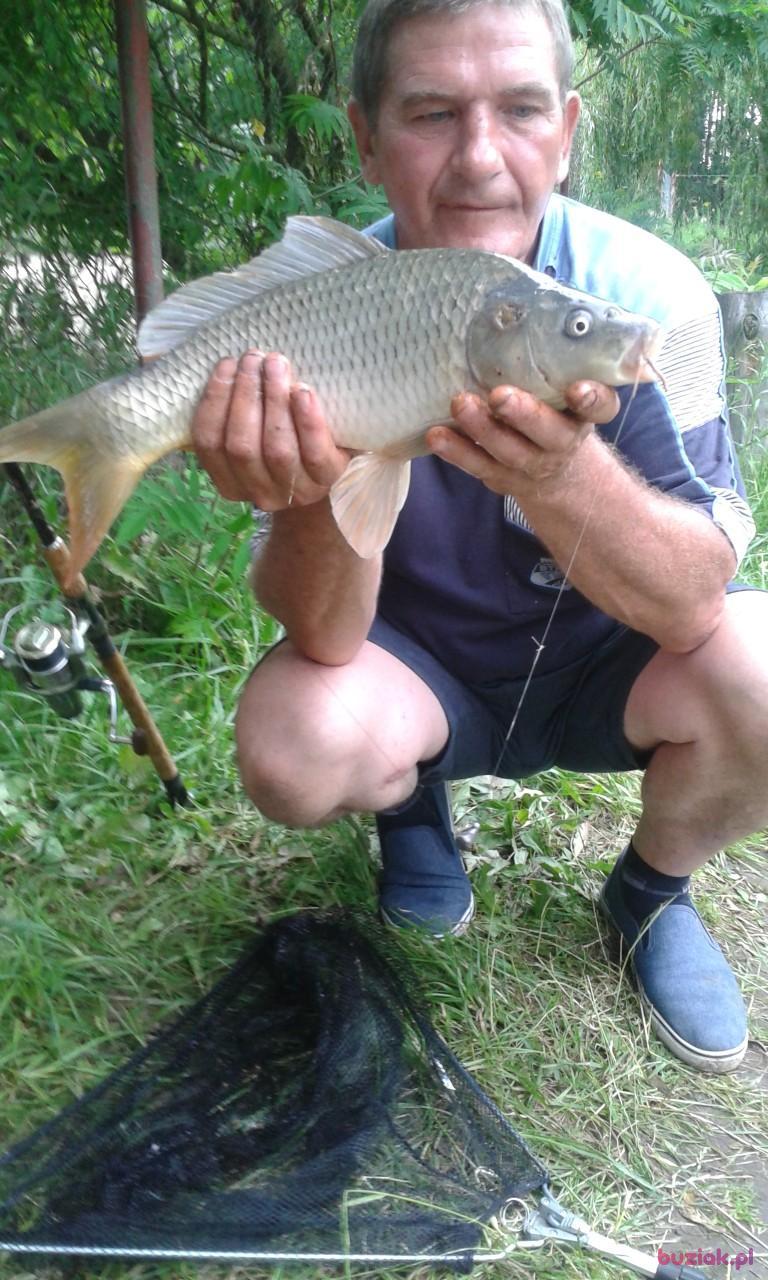Mirosław, Male, 62, Grudziądz, Polska, Photo: 3